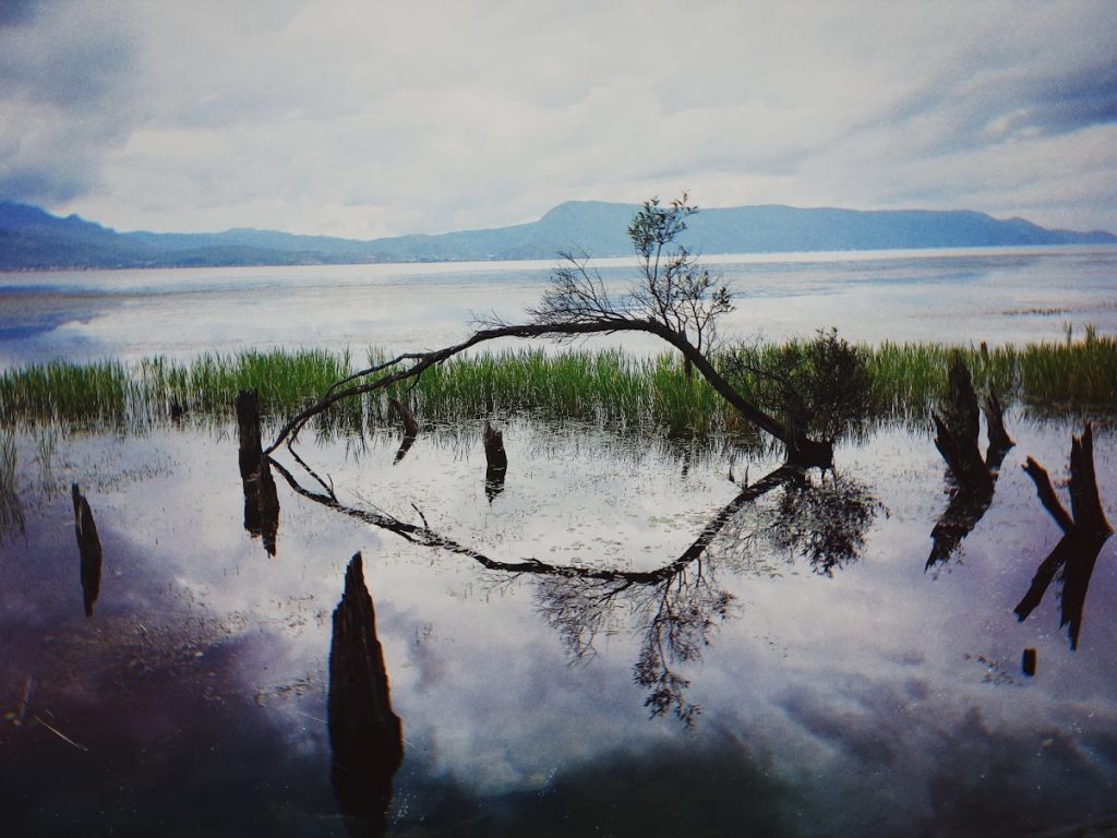 洱海
